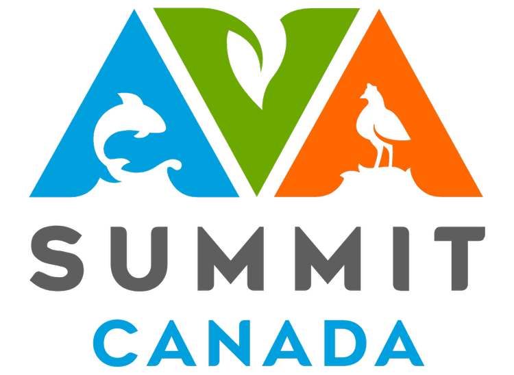 AVA Summit Logo