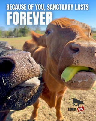 Promotional image for Heart Working Volunteer Day