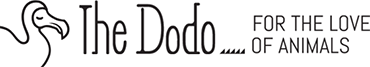 The-Dodo