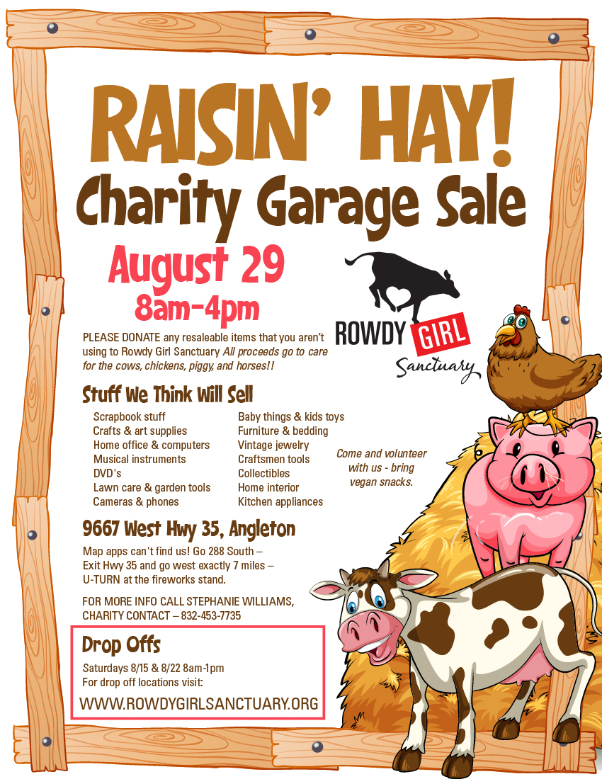 RGS Raisin Hay Charity Garage Sale