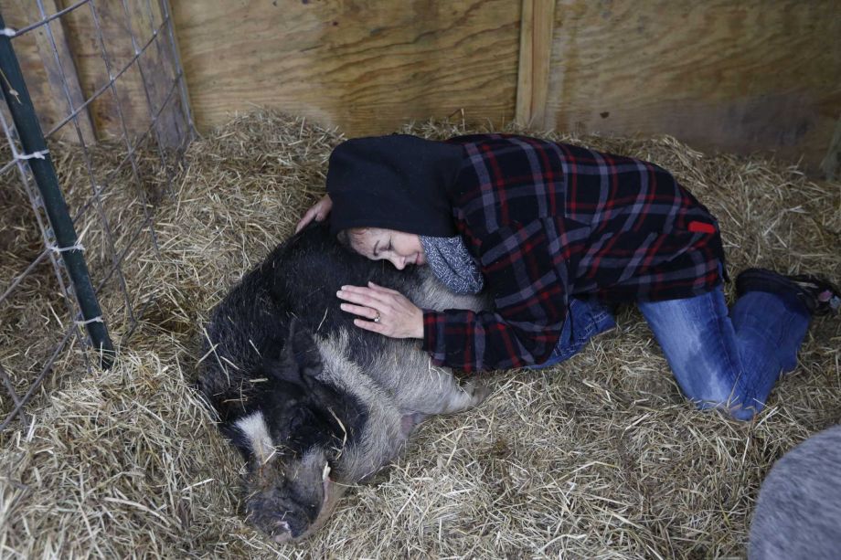 Rowdy Girl Sanctuary founder King-Sonnen lies with Herman in his shelter. Herman, a bristly black-and-white pig, was the first animal rescued by the ranch.
