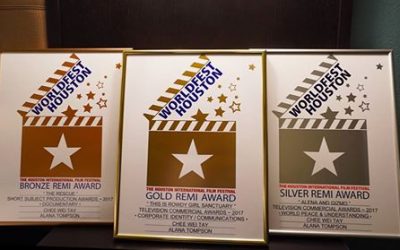 The 3 films produced at RGS won in 3 categories!!!
