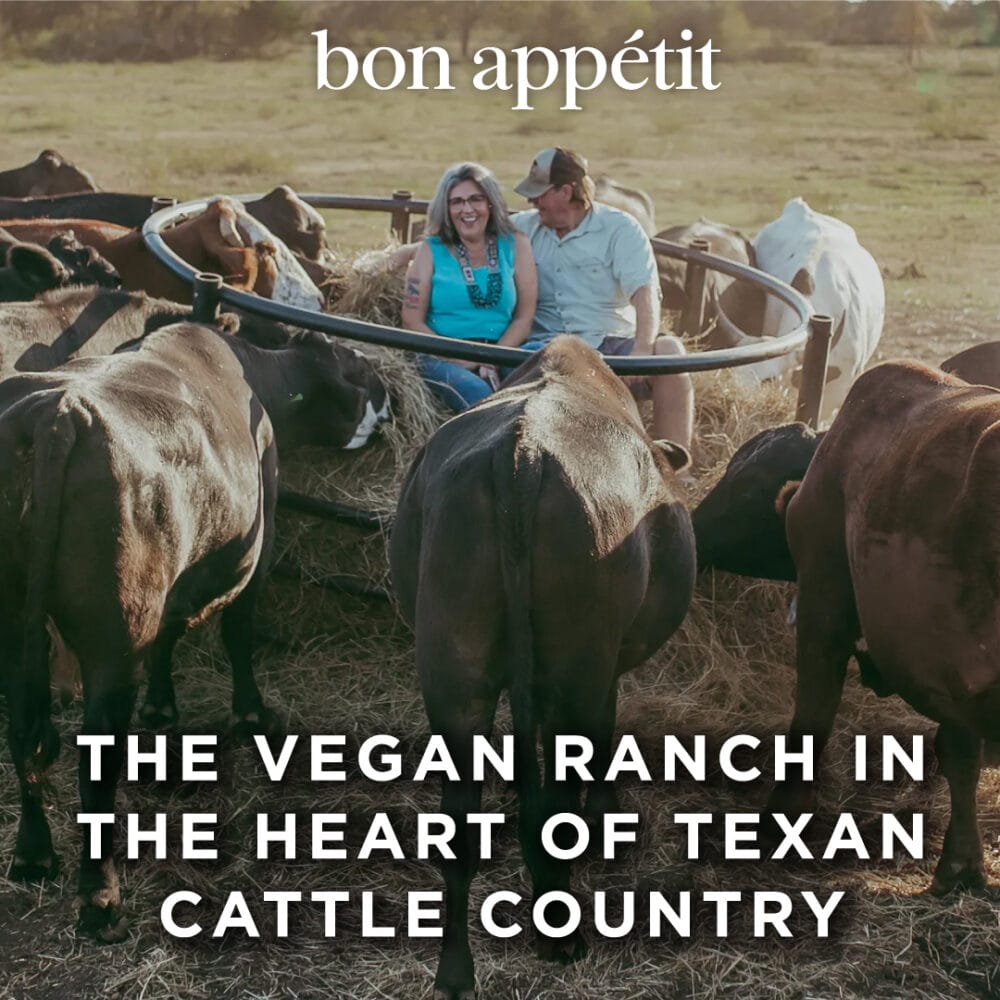Bon Appetit article thumbnail