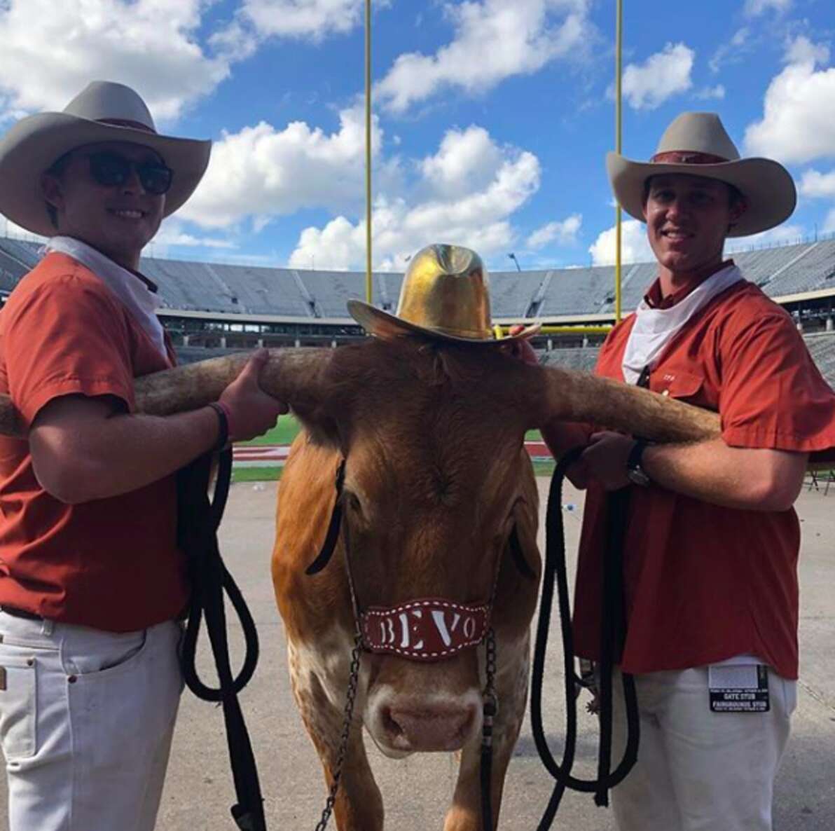 Bevo at football game