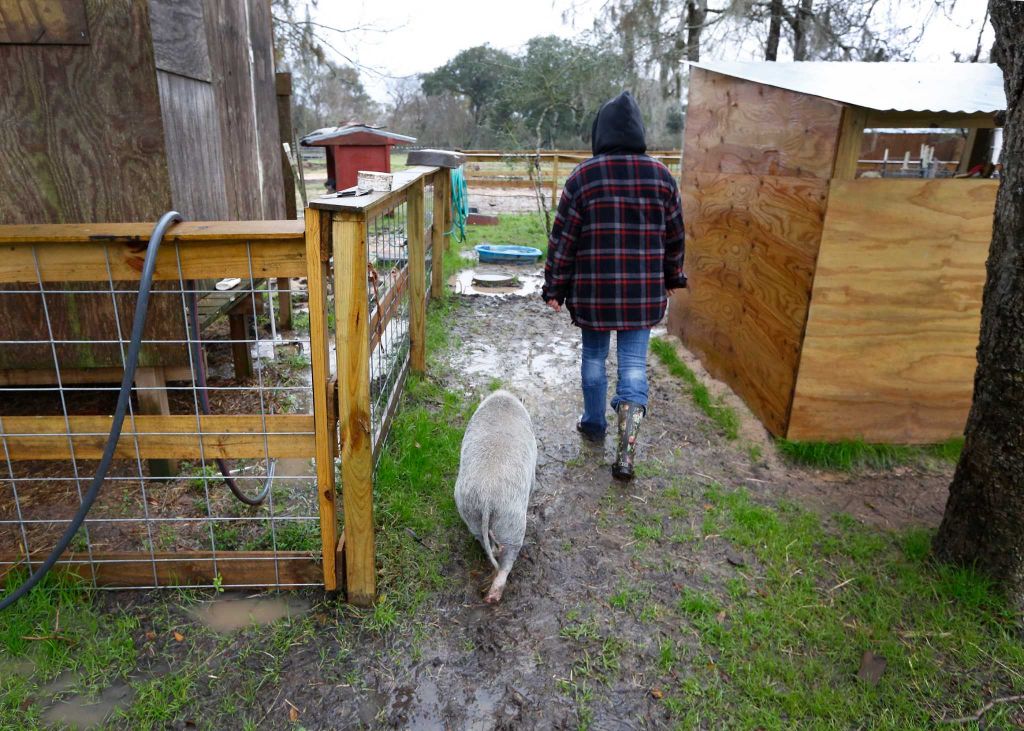Houston Chronicle Story-14 Ivy walking behind Renee