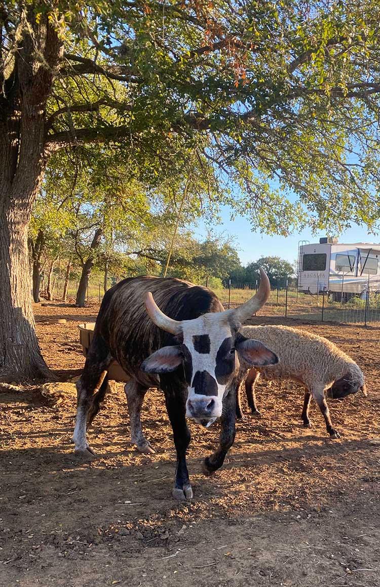 Pearly, front and center for the camera.