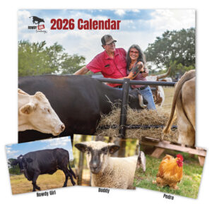 2026 Calendar