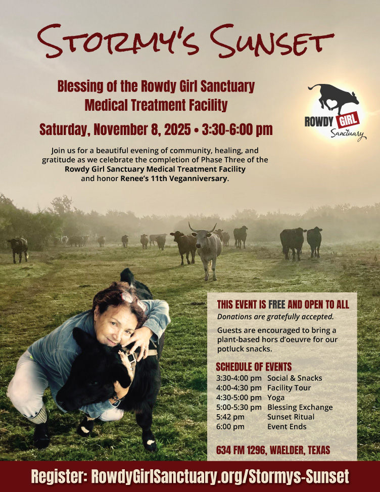 Promotional flyer for Stormy's Suset Event