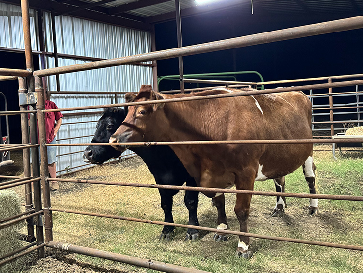 Flower and Maggie arrive at Rowdy Girl Sanctuary