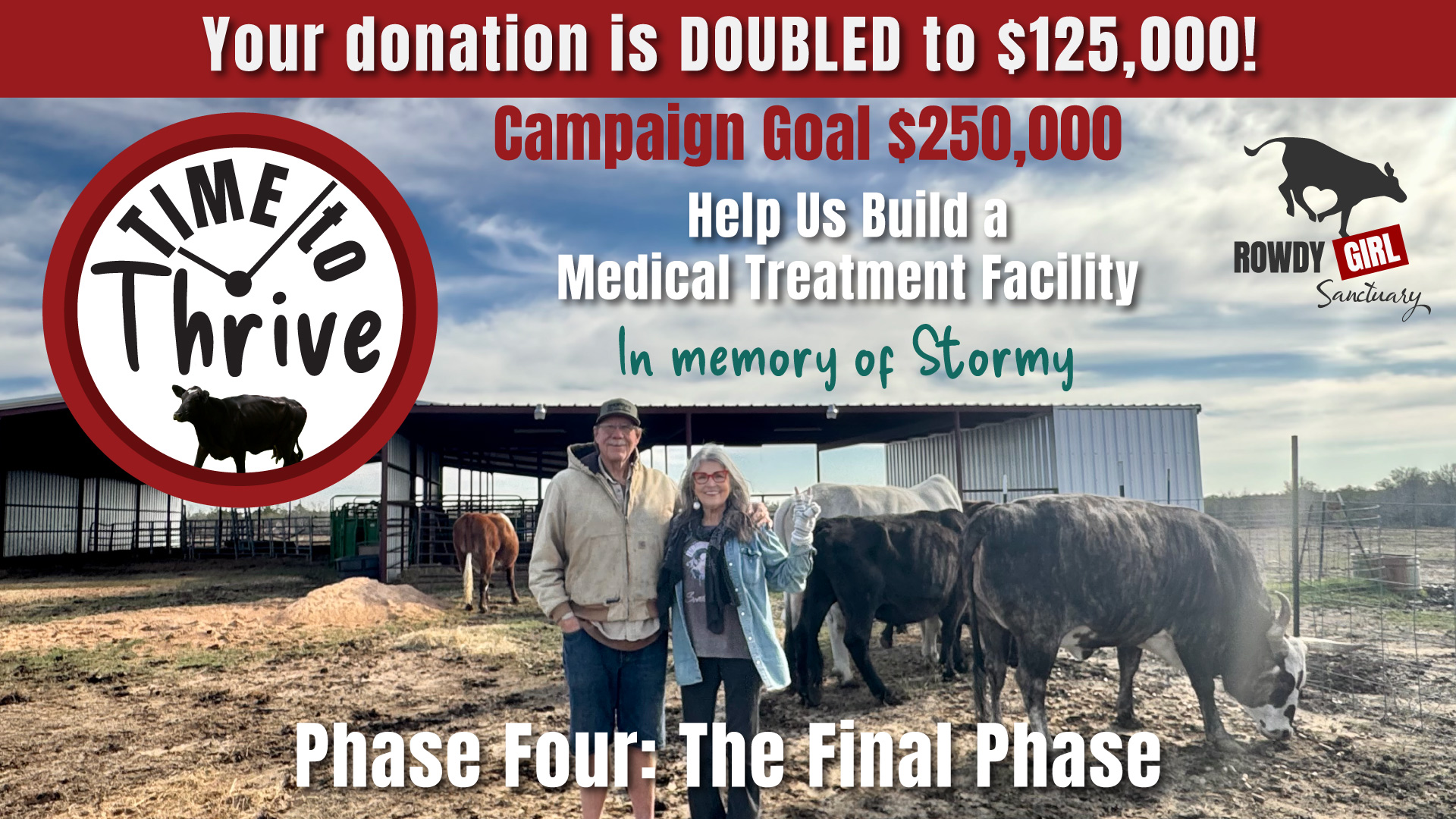 Promotional image for Giving Tuesday featuring J.D. the cow.