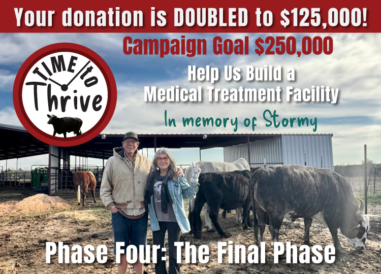 Image used for a donation drive to raise funds for phase 4 of the medical treatment facility at Rowdy Girl Sanctuary