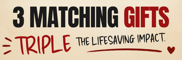 3-Matching-Gifts Small image that says 3 Matching Gifts Triple The Lifesaving Impact
