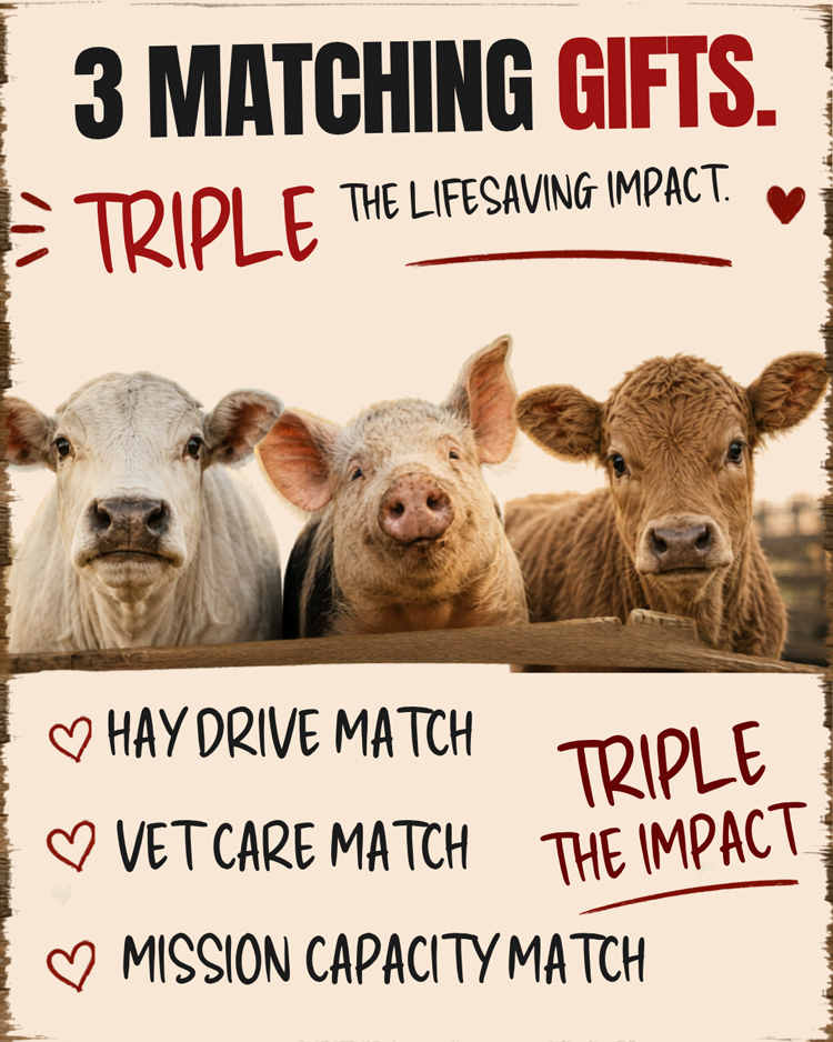 RGS-Match-Campaigns Promotional image for matching campaigns