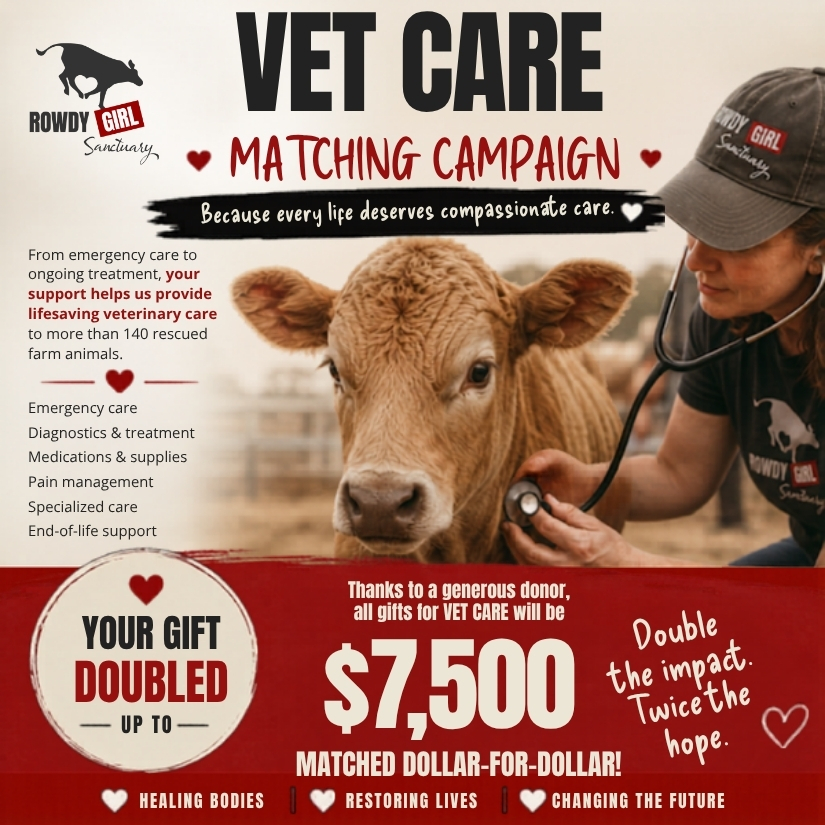 Vet Care Matching Campaign Promotional image for Vet Care Matching Campaign
