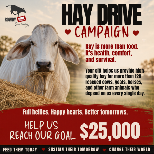 Hay Drive Campaign Promo Image