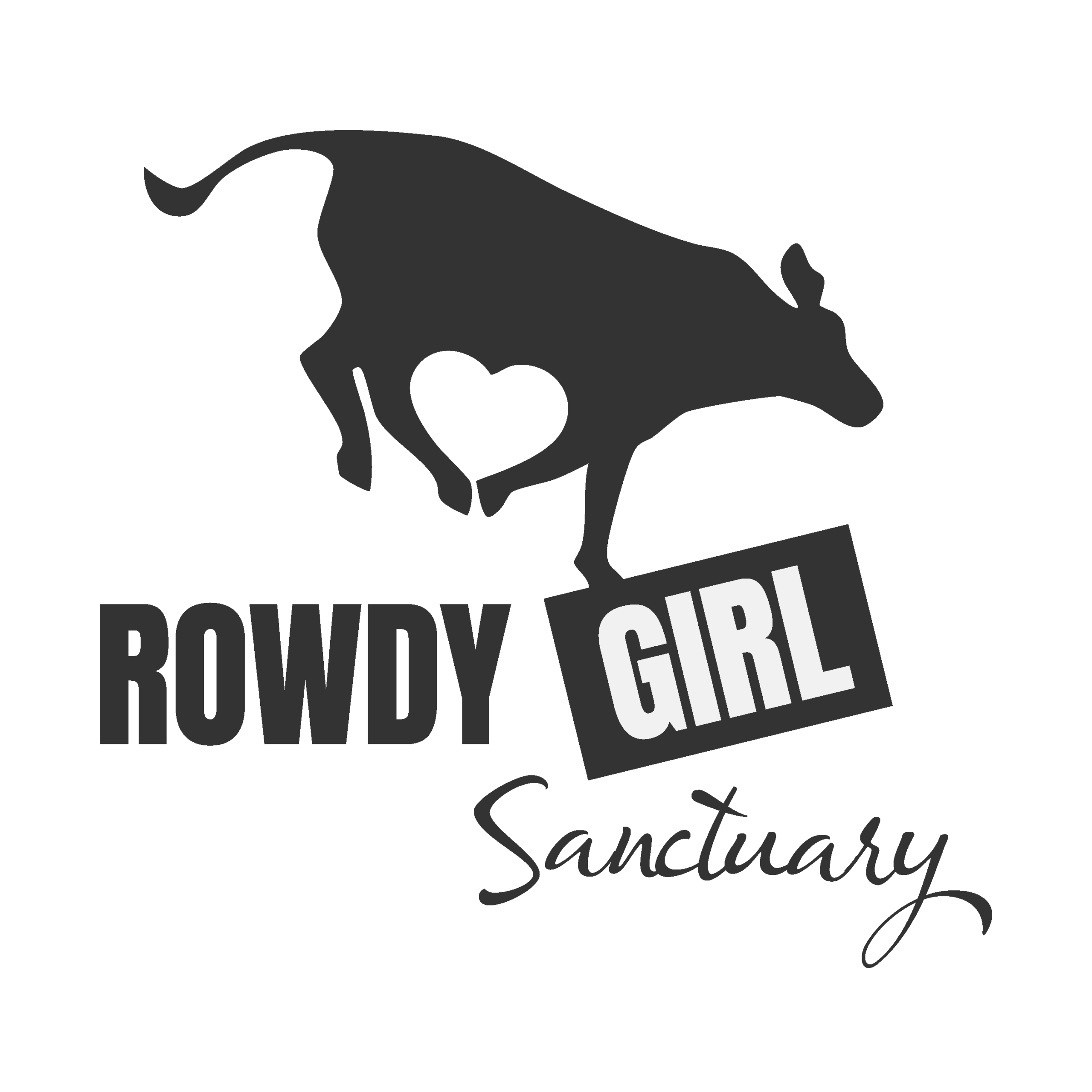 RGS Primary Logo Charcoal