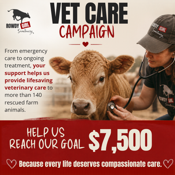 Vet Care Campaign Promo Image