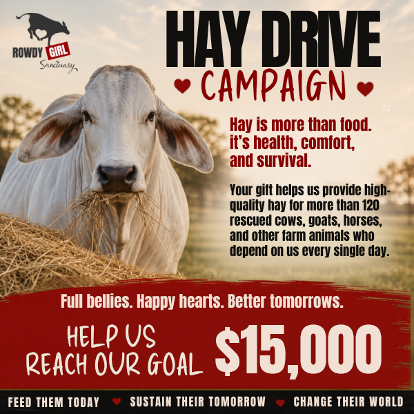 Hay Drive Campaign - 3 Hay Drive promotional image