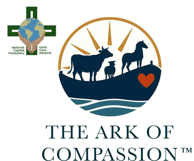 The-Ark-of-Compassion The Ark of Compassion Logo