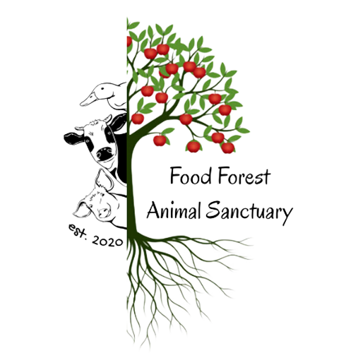 Food-Forest-Animal-Sanctuary-Logo Food-Forest-Animal-Sanctuary-Logo