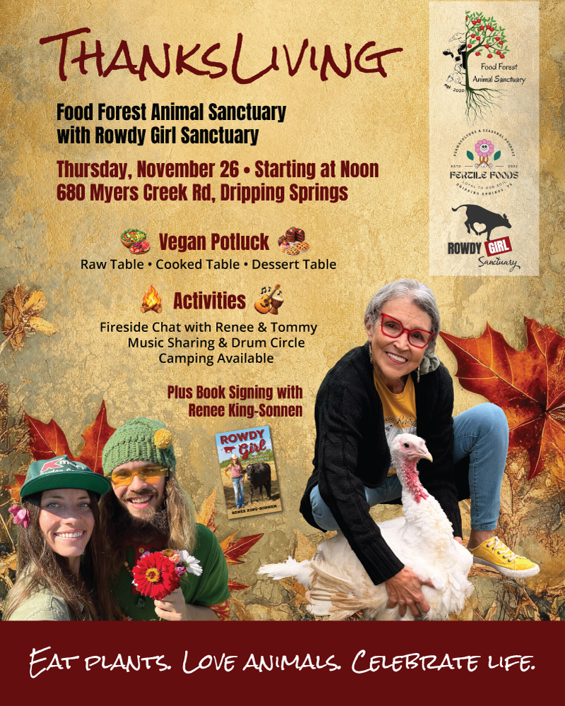 ThanksLiving ThanksLiving Promotional Image